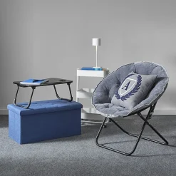 AEROPOSTALE Jersey Saucer Papasan Chair