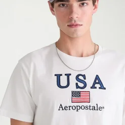 AEROPOSTALE Mens Crew Neck Short Sleeve Classic Fit Graphic T-Shirt