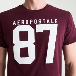 AEROPOSTALE Mens Crew Neck Short Sleeve Classic Fit Graphic T-Shirt