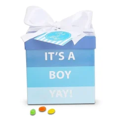 Alder Creek Its A Boy Baby Gift Box Food Set