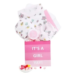 Alder Creek Its A Girl Baby Gift Box Food Set