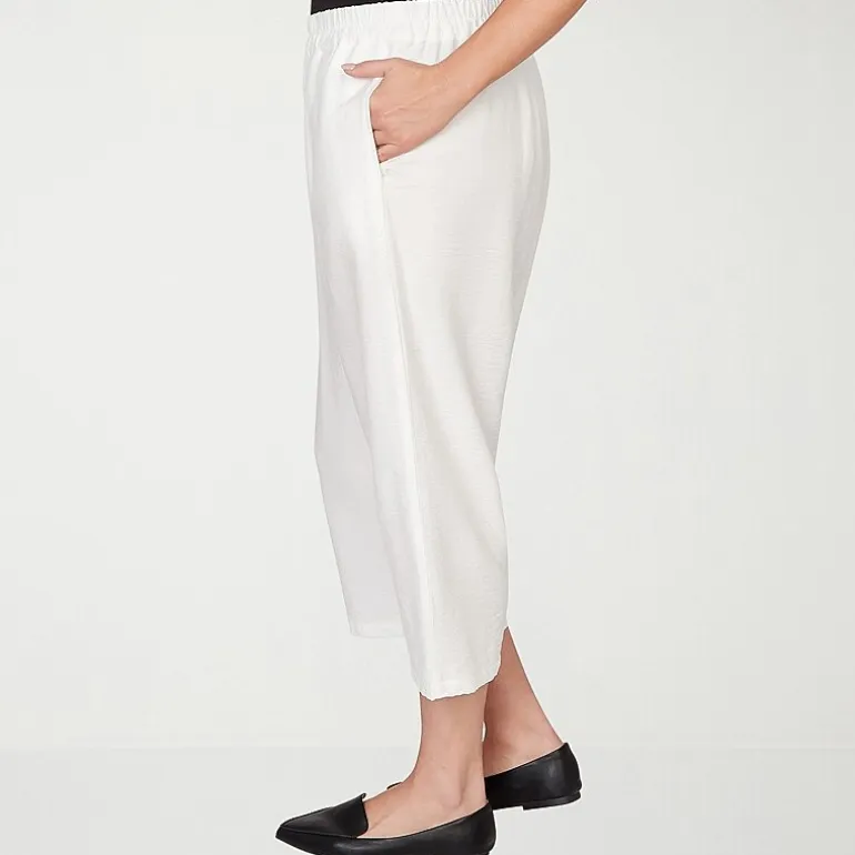Alfred Dunner Crowd Pleaser Womens Plus Straight Capri Pant
