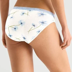 Ambrielle Cotton Bikini Panty