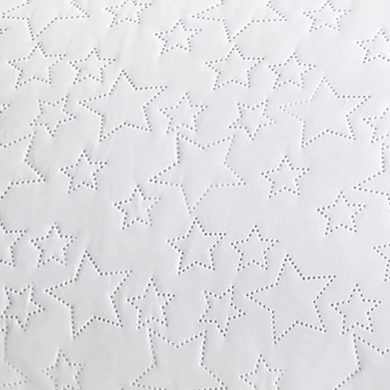America's 2 Pack Quilted Star Pillow