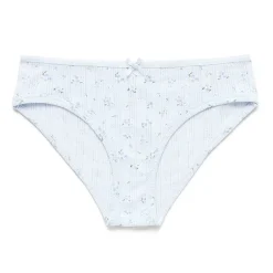 Arizona Body Cotton Hipster Panty