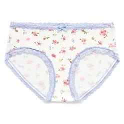 Arizona Body Cotton with Lace Hipster