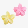 Arizona Hair Clip