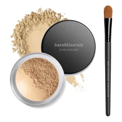 bareMinerals Maximum Coverage Concealer Brush