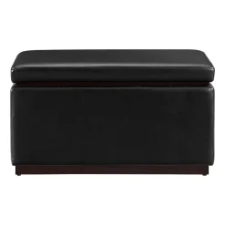 Berlinda Faux Leather Rectangular Storage Ottoman