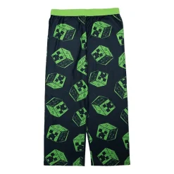 Big Kid Boys Minecraft 2-pc. Pajama Set