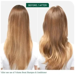 Biolage Volume Boost Conditioner 13.5 oz.