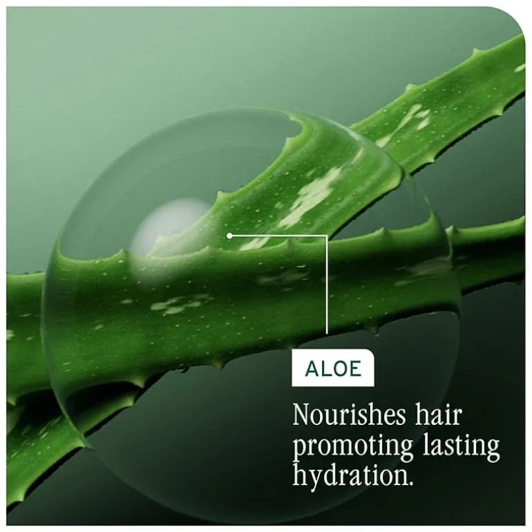Biolage Hydra Source Daily Leave In Conditioner 13.5 oz.