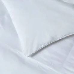 Blue Ridge Home Fashions All Season Down Alternative Comforter