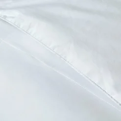 Blue Ridge Home Fashions All Season Down Alternative Comforter