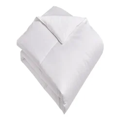 Blue Ridge Home Fashions 1000 Thread Count European White Down Comforter