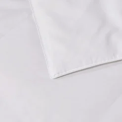 Blue Ridge Home Fashions 1000 Thread Count European White Down Comforter