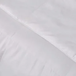 Blue Ridge Home Fashions 1000 Thread Count European White Down Comforter