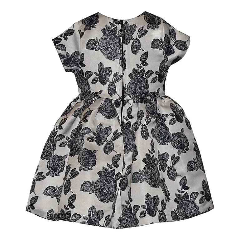 Bonnie Jean Toddler Girls Short Sleeve Cap Fit + Flare Dress