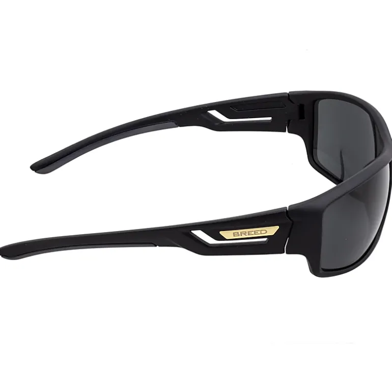 BREED Aquarius Mens Polarized Sunglasses