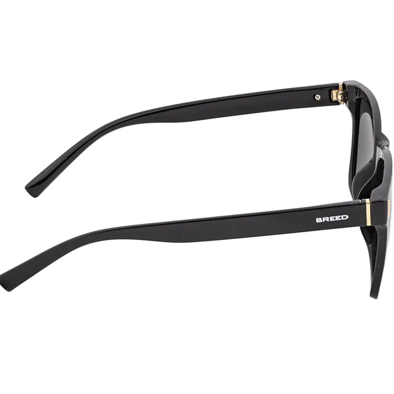 BREED Pictor Mens Polarized Sunglasses