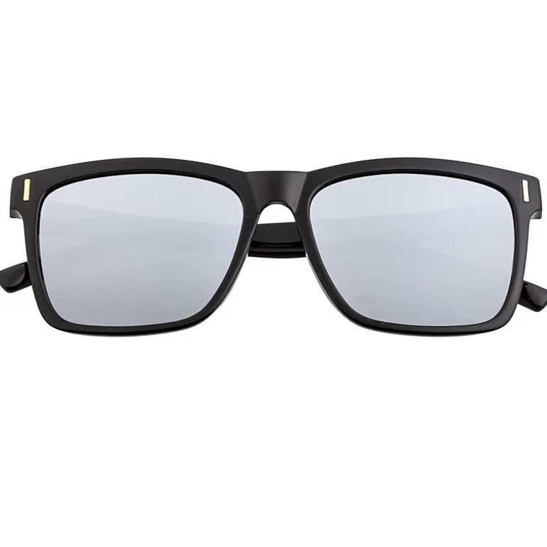 BREED Pictor Mens Polarized Sunglasses