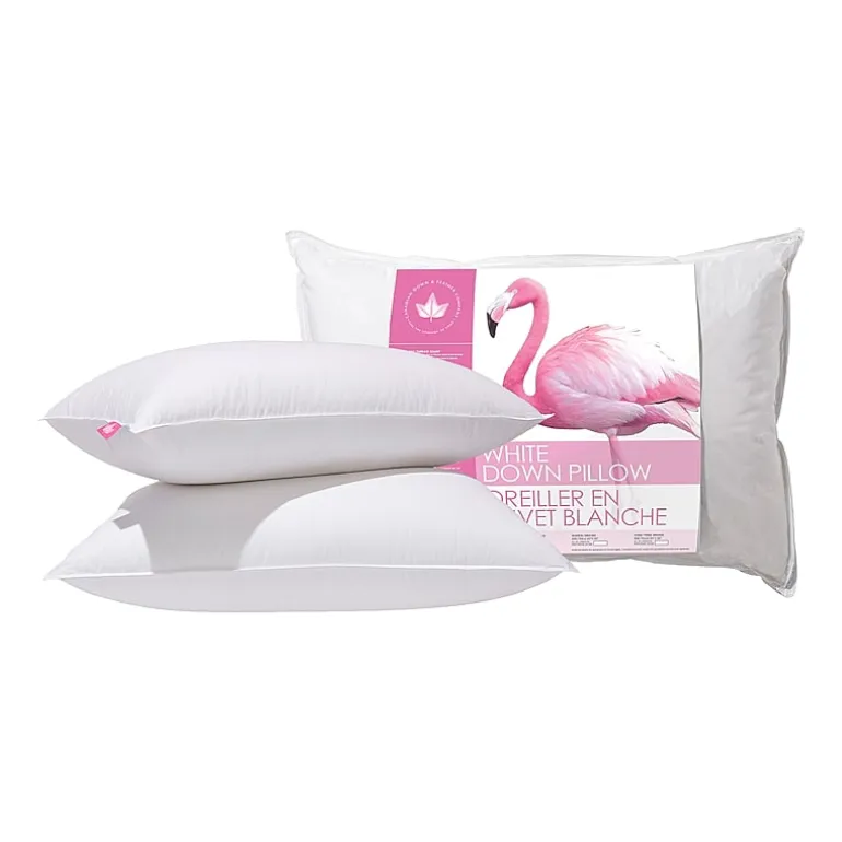Canadian Down & Feather Company Down 2 Pack Medium Density Bed Pillow