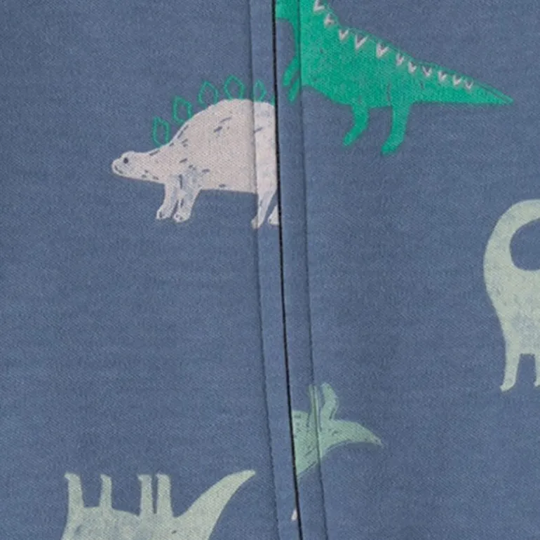 Carter's Baby Boys Dinosaurs Sleep and Play