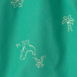 Carter's Dinosaur Toddler Boys Short Set