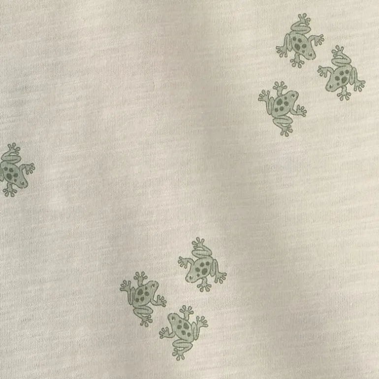 Carter's Frog Toddler Boys Short Set