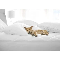 Claritin Allergen Barrier Medium/Firm Density Pillow