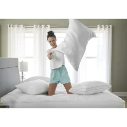 Claritin Allergen Barrier Soft/Medium Density Pillow