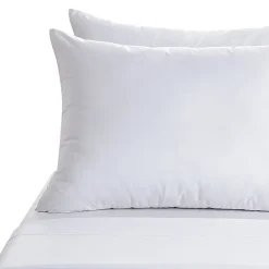 Claritin 2pk Allergen Barrier Pillow Protector