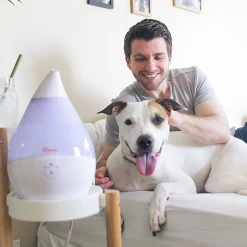Crane Droplet 0.5 Gallon Ultrasonic Cool Mist Humidifier - White