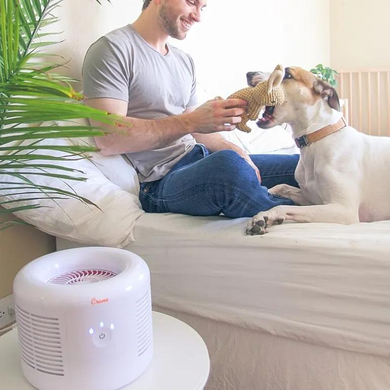 Crane HEPA Air Purifier , 300 Sq Ft. Coverage, Compact