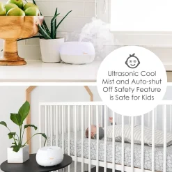 Crane 2-In-1 Personal 0.2 Gallon Ultrasonic Cool Mist Humidifier & Aroma Diffuser