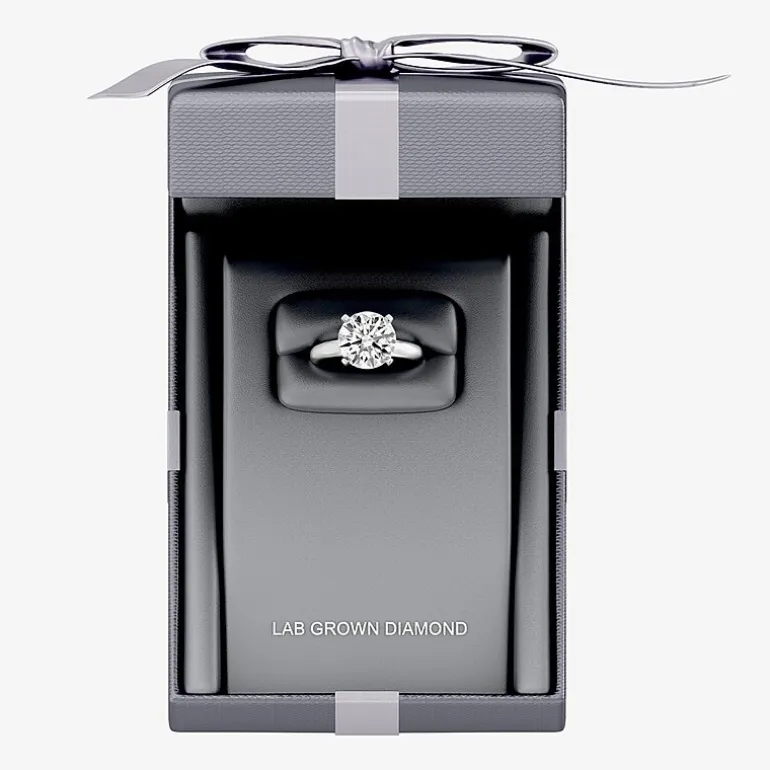 5 CT. Round Lab-Grown (F / VS1) Diamond Solitaire Engagement Ring in 14k Gold