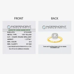 1 CT. T.W. Lab-Grown (G-H / SI1-SI2) Diamond Cushion Halo Engagement Ring in 10K Gold