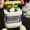Design Imports Garlic Cube