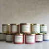 Distant Lands Crisp Applewood 3-Wick Scented Jar Candle
