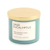 Distant Lands 14oz Sage Eucalyptus 3-Wick Scented Jar Candle