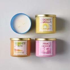 Distant Lands 14oz Shimmering Water 3-Wick Scented Jar Candle