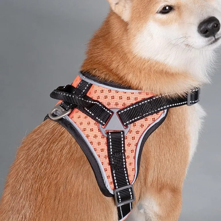 Dog Helios Scorpion' Sporty High-Performance Free-Range Dog Harness