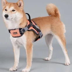 Dog Helios Scorpion' Sporty High-Performance Free-Range Dog Harness