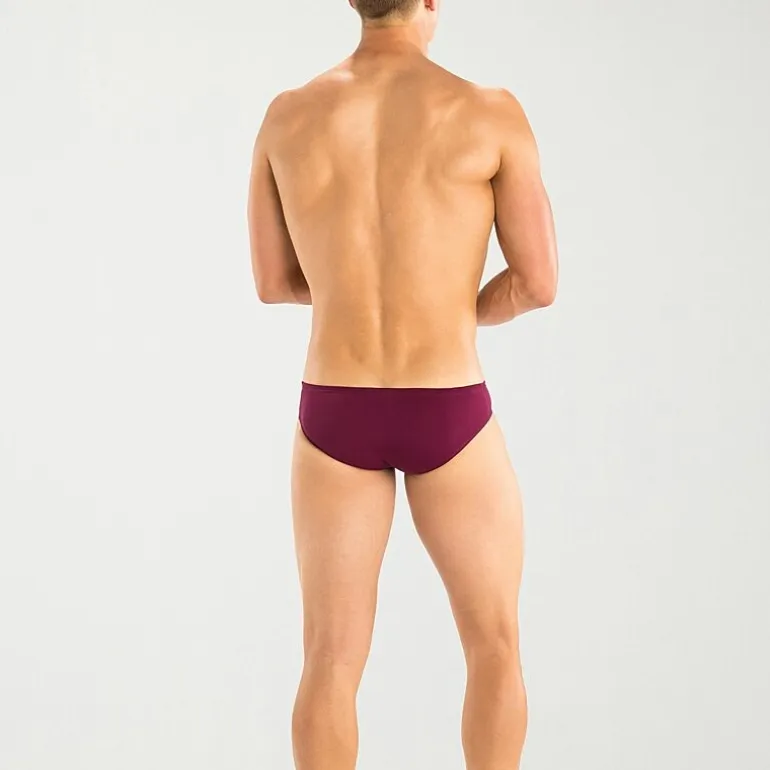 Dolfin Mens Reliance Brief Swimsuit Bottom