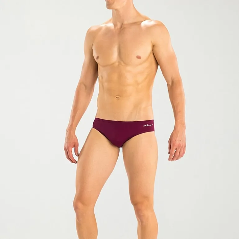 Dolfin Mens Reliance Brief Swimsuit Bottom