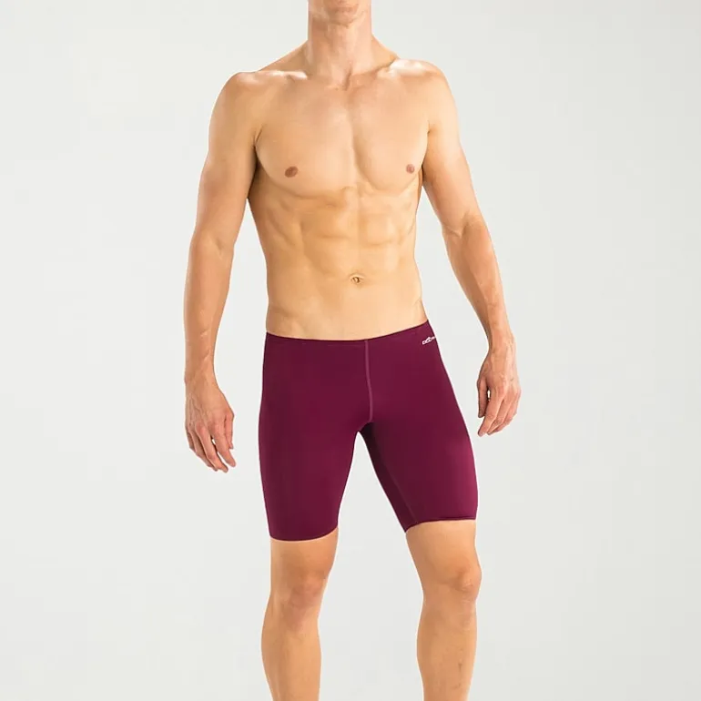Dolfin Mens 10 1/2" Swim Trunks
