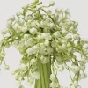Donna Karan Cashmere Mist Eau de Toilette