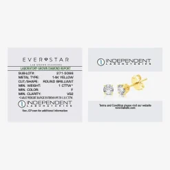 Ever Star (G / VS2) 1 CT. T.W. Lab Grown White Diamond 14K Gold 5.2mm Round Stud Earrings