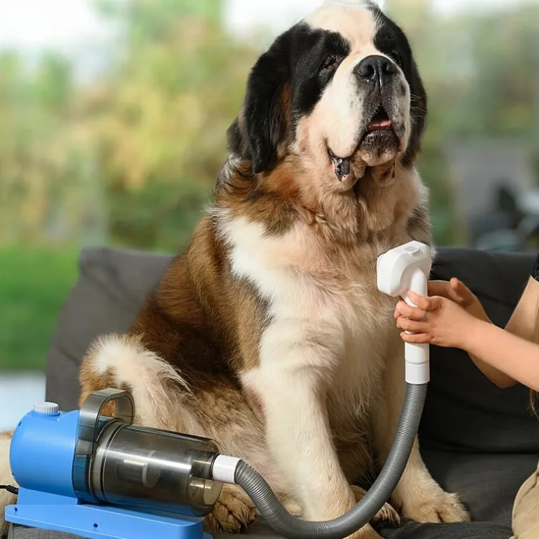 Ewbank® Pet Hair Grooming Cannister Vacuum