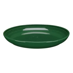 Fiesta Coupe Dinner Bowl